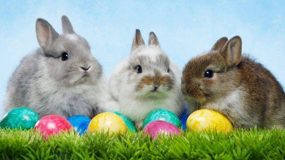 Easter's on its way!