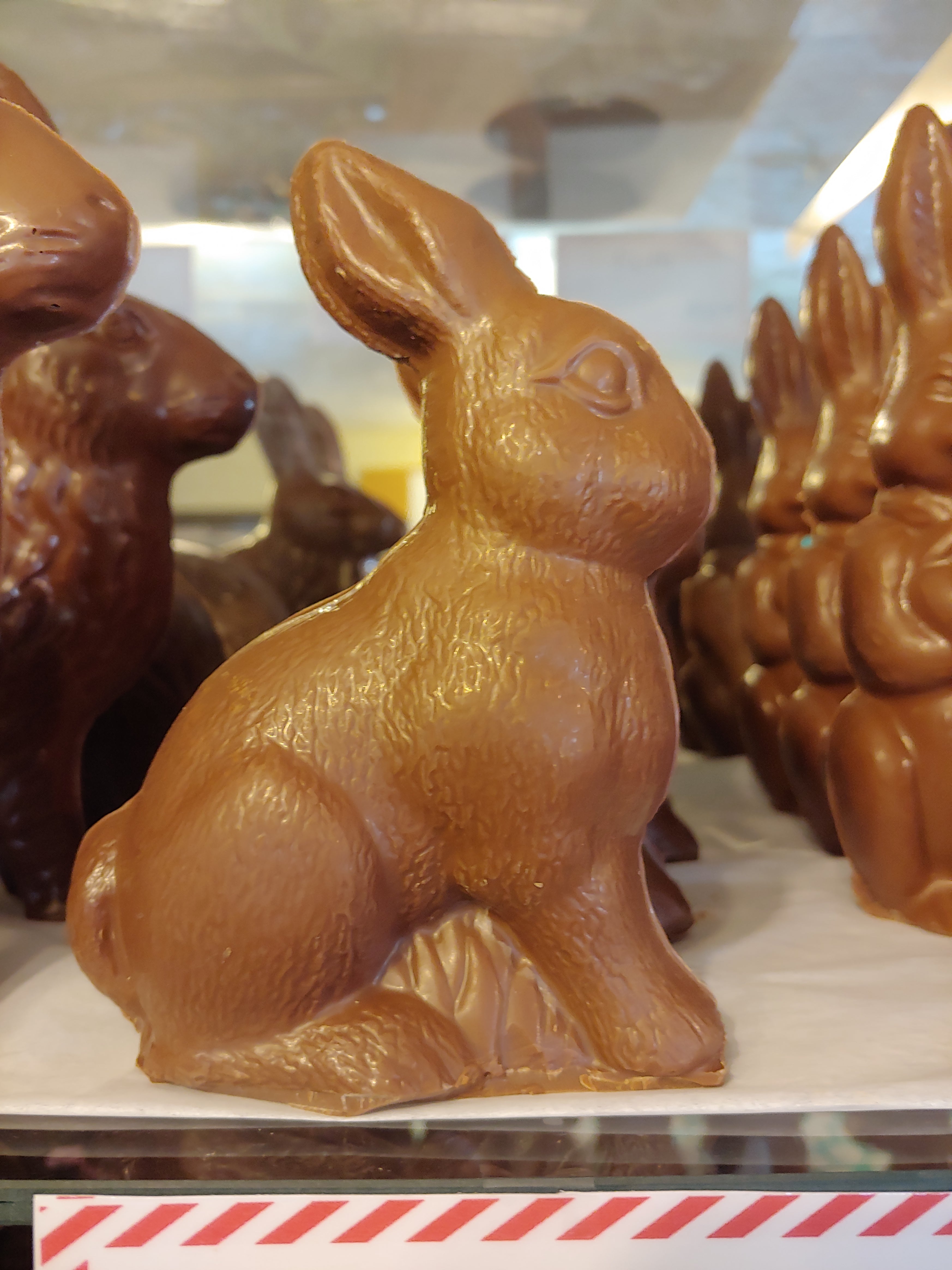 Beth Bunny