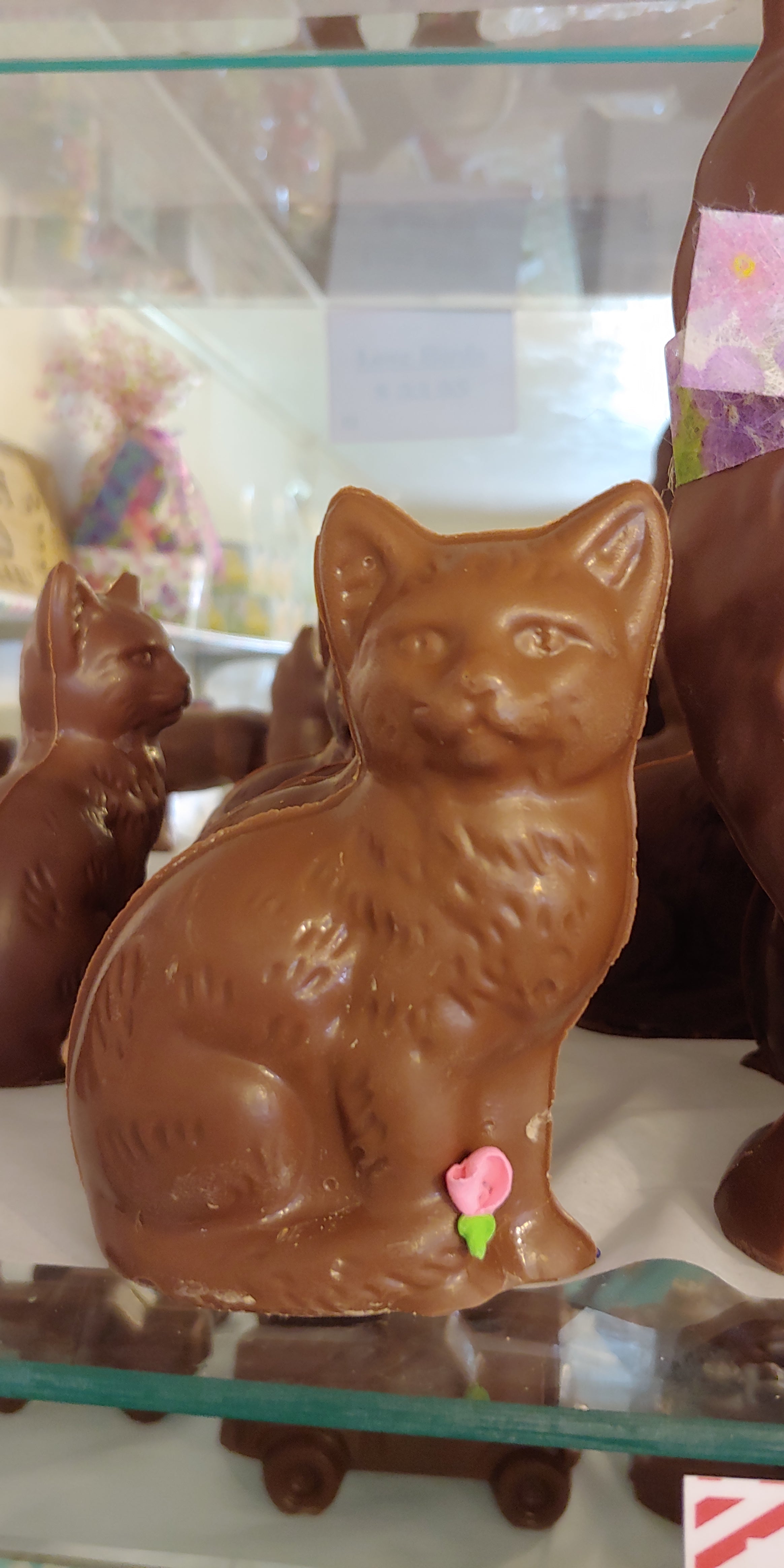 Muppy Cat - Peterson's Candies