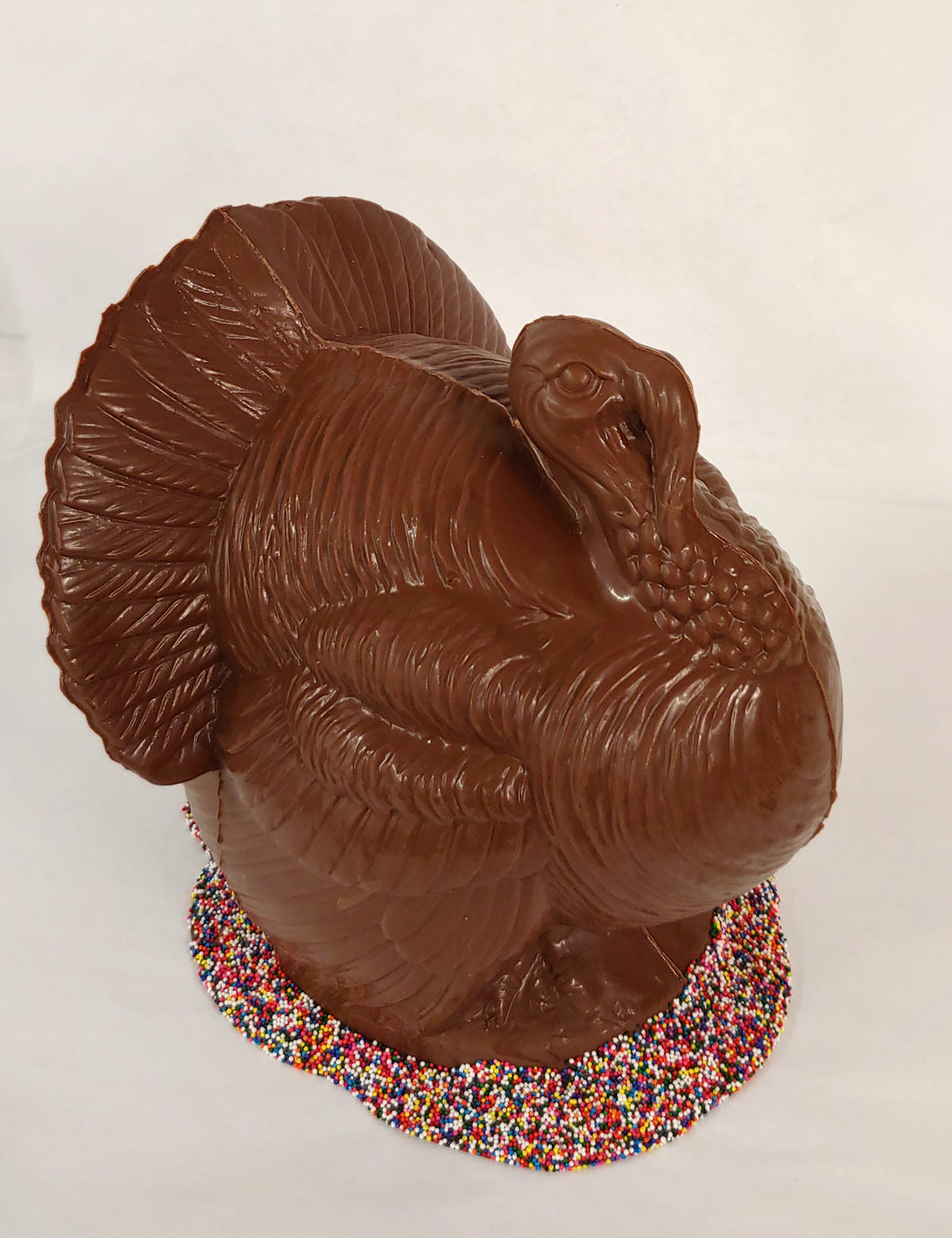 Thanksgiving  Turkeys